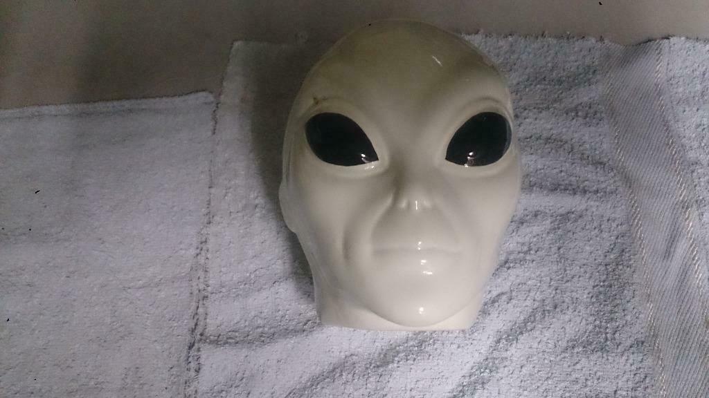 Alien hoofd, Antiek en Kunst, Kunst | Beelden en Houtsnijwerken, Ophalen of Verzenden