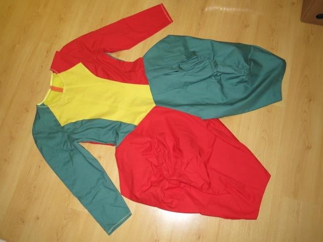 Een degelijk clownspak voor tiener/volwassene, Kleding | Dames, Carnavalskleding en Feestkleding, Zo goed als nieuw, Kleding, Ophalen of Verzenden