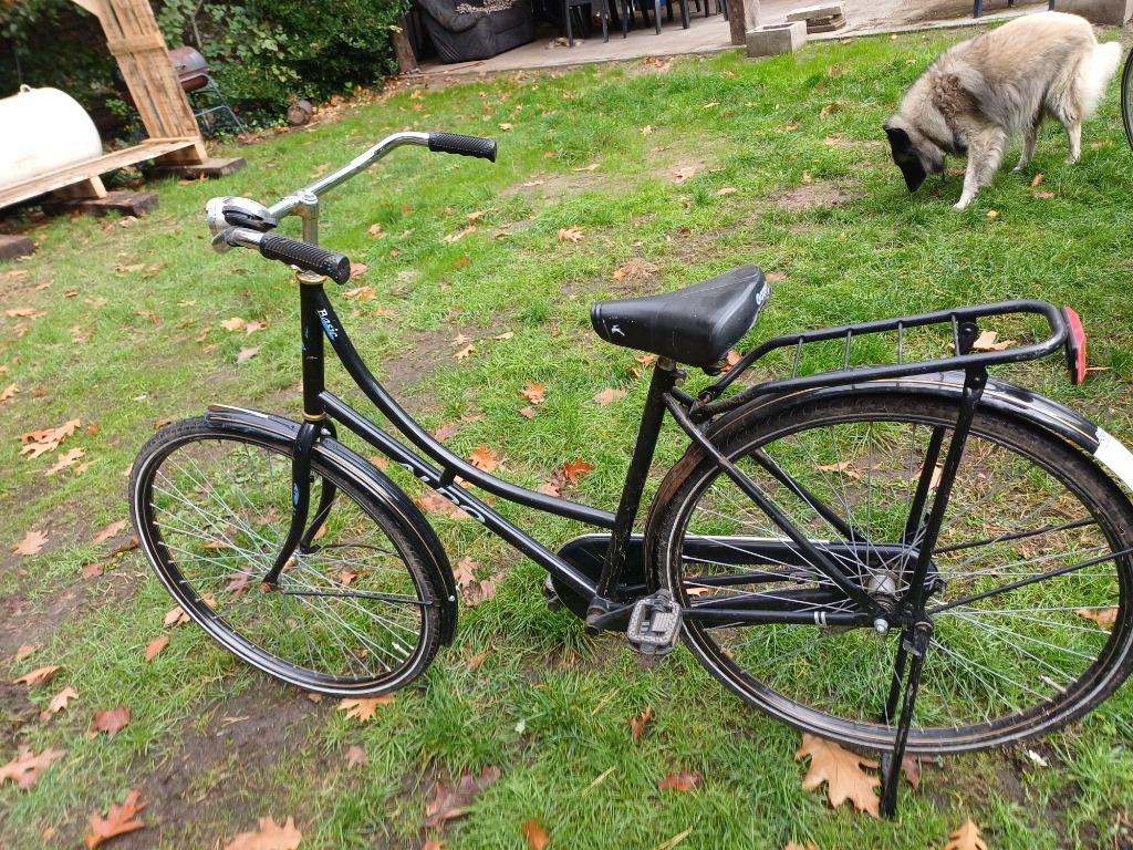 vélos Grandma, Enlèvement, Utilisé, Frein à main, 56 cm ou plus