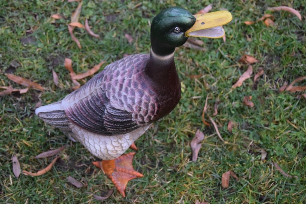 Schitterende gepatineerde gietijzeren eend (de wilde eend), Tuin en Terras, Tuinbeelden, Ophalen of Verzenden, Nieuw, Overige materialen