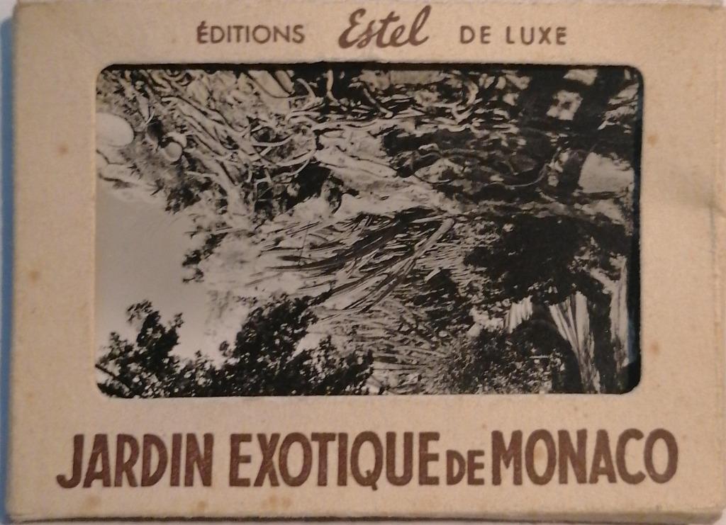 Estel De Luxe - Jardin Exotique de Monaco - 20 oude foto's, Verzamelen, Ophalen of Verzenden, Zo goed als nieuw, Buitenland, Foto