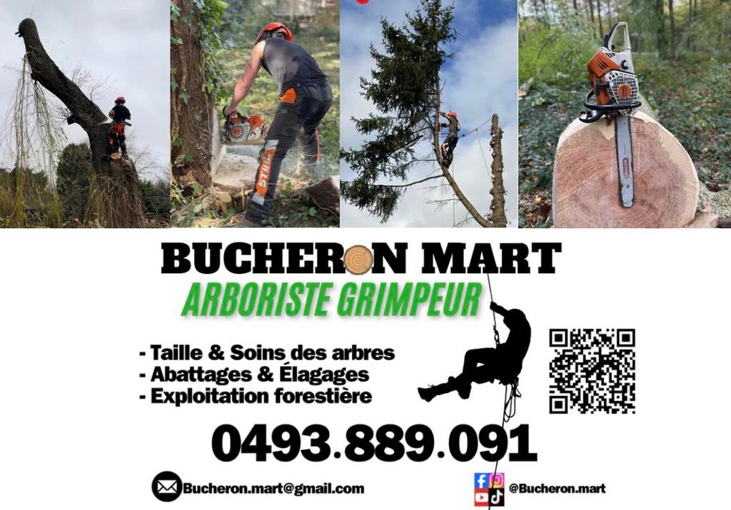 Jardinier grimpeur élagueur DEVIS GRATUIT, Jardin & Terrasse, Enlèvement