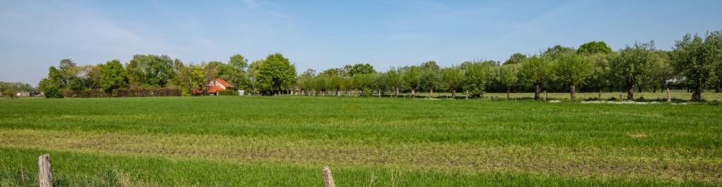 GEZOCHT: landbouwgrond, akkerland te huur, Zakelijke goederen, Ophalen of Verzenden, 1 tot 5 ha, Melkveehouderij