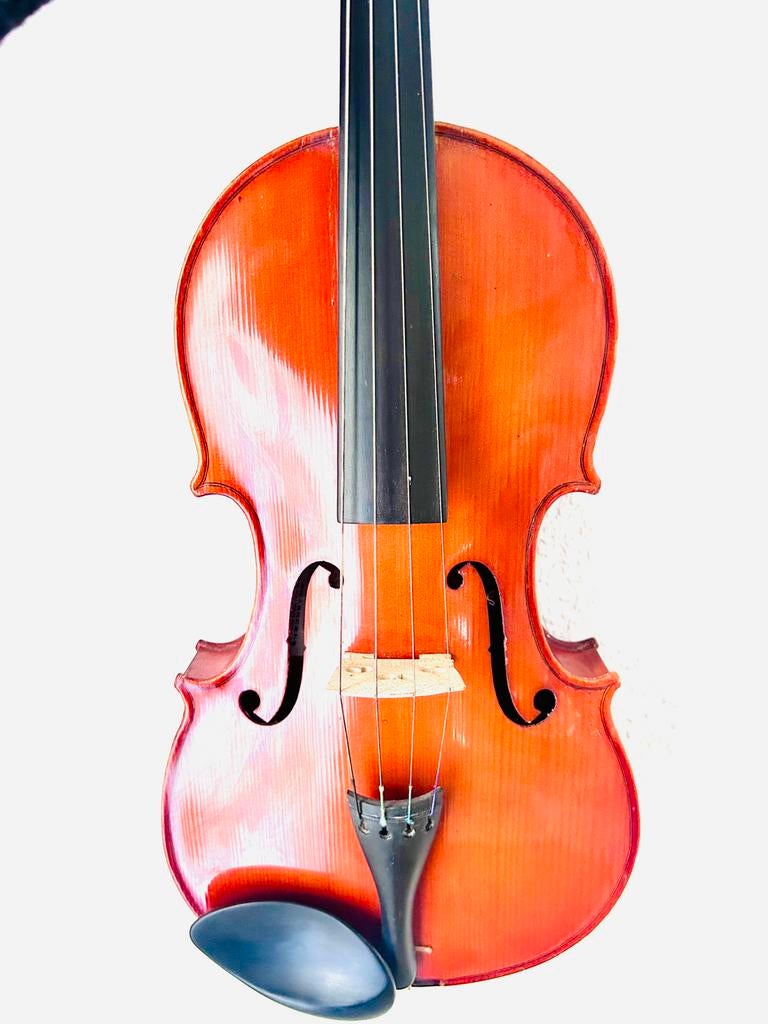 Altviool 4/4 Veldleeuwerik, Muziek en Instrumenten, Strijkinstrumenten | Violen en Altviolen, Ophalen of Verzenden, Gebruikt, 4/4-viool