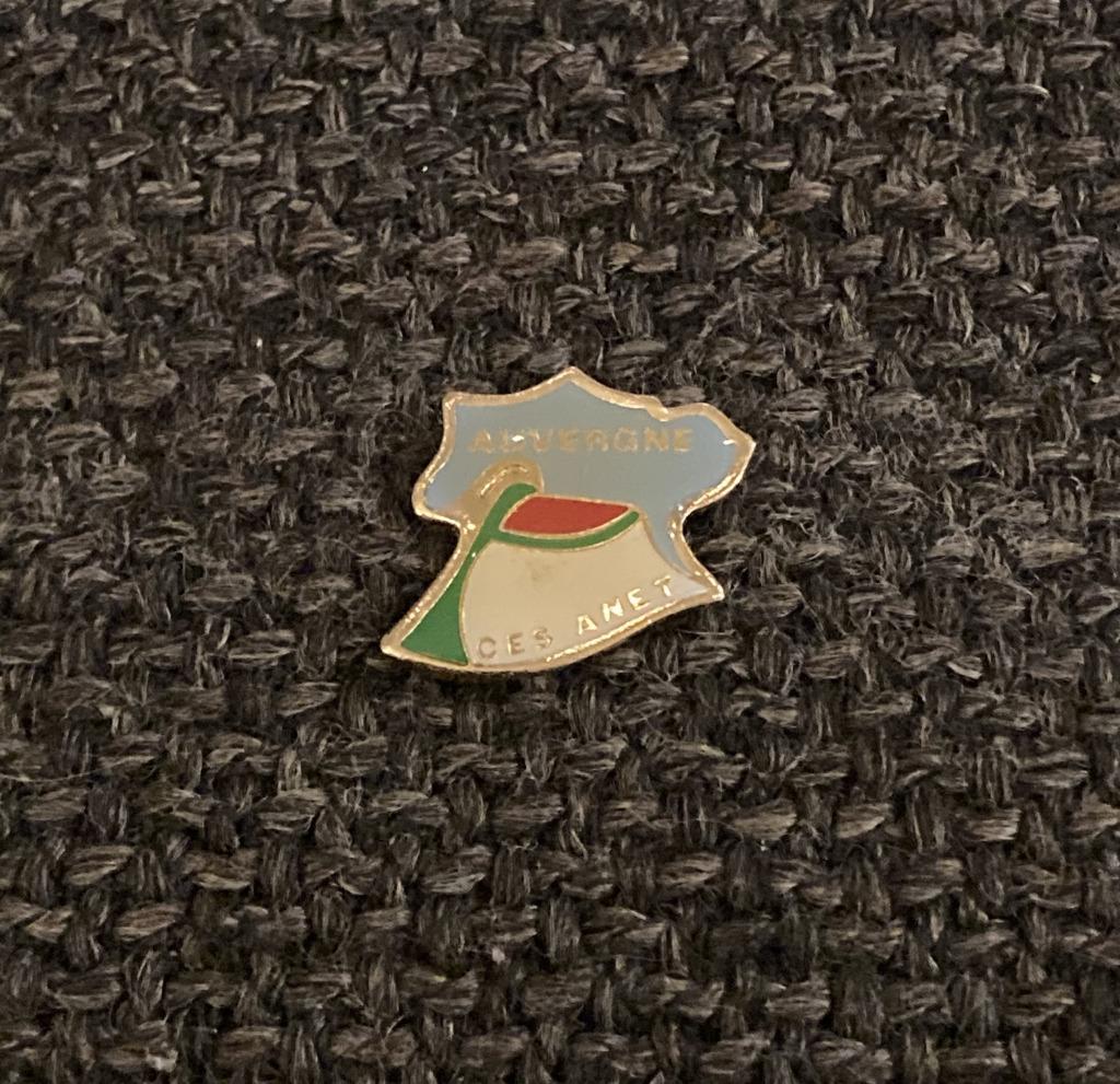 PIN - AUVERGNE - FRANCE - FRANKRIJK, Envoi, Utilisé, Ville ou Campagne, Insigne ou Pin's
