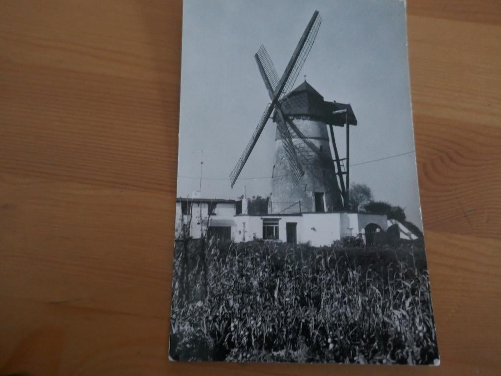 denderwindeke molen der zeven weeën, Ophalen of Verzenden, Ongelopen, Oost-Vlaanderen