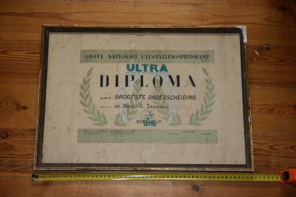 oud diploma Boechout 'uitstallingsprijskamp' 1951-1952, Antiek en Kunst, Ophalen of Verzenden