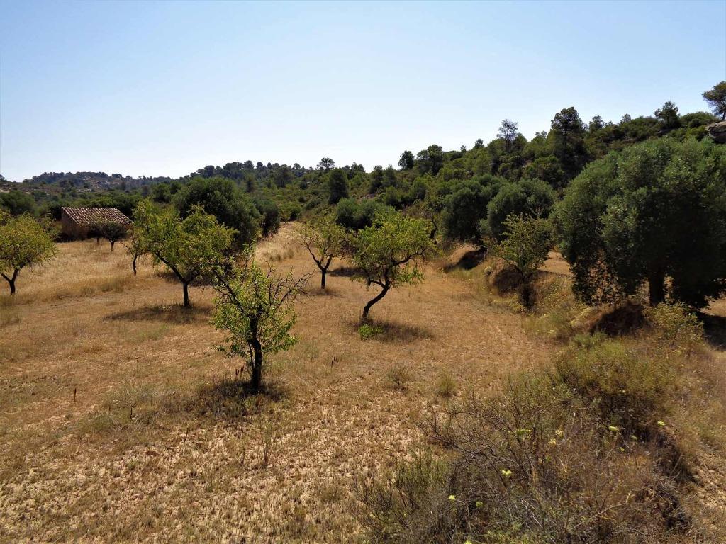 Finca in Maella (Aragon, Spanje) - 0655, Overige soorten, Spanje, Landelijk