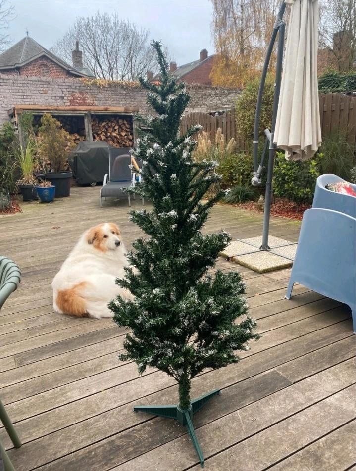 Prachtige kerstboom met sneeuweffect, Ophalen of Verzenden, Zo goed als nieuw