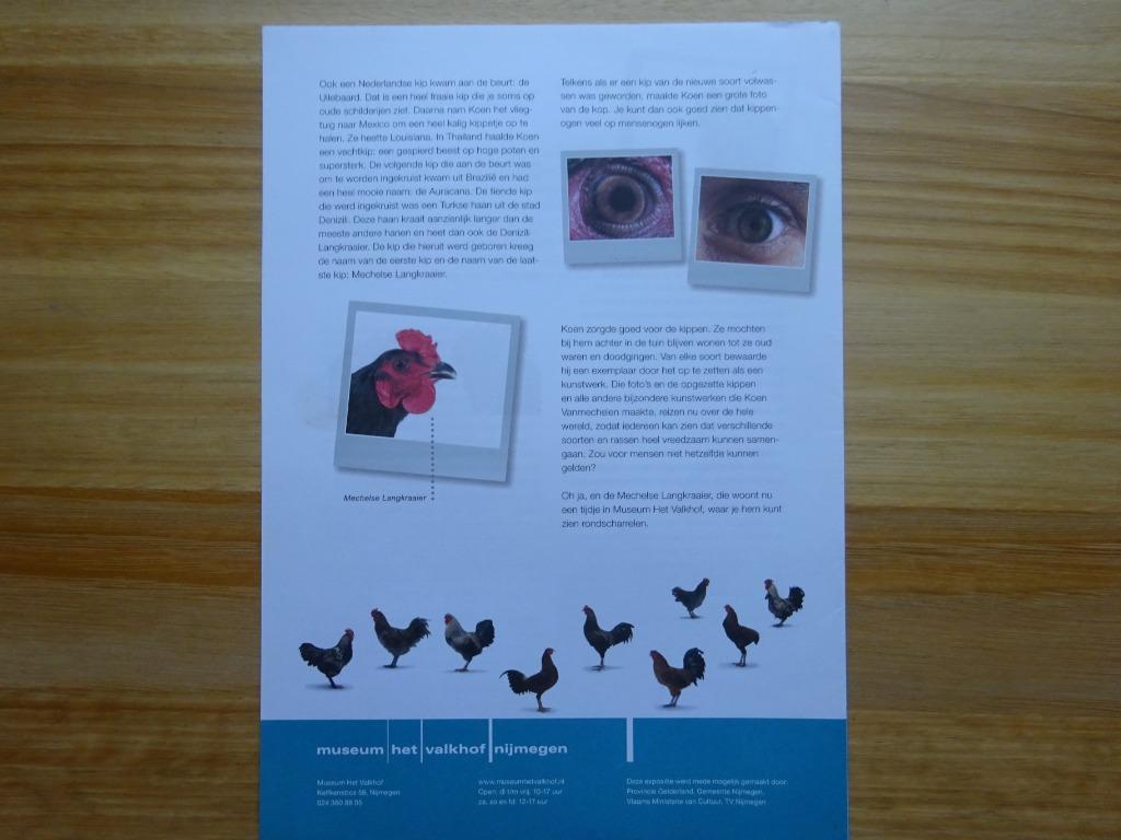 Koen Vanmechelen 2008 Lesbrief/folder - Nijmegen, Ophalen of Verzenden, Nieuw, Folder