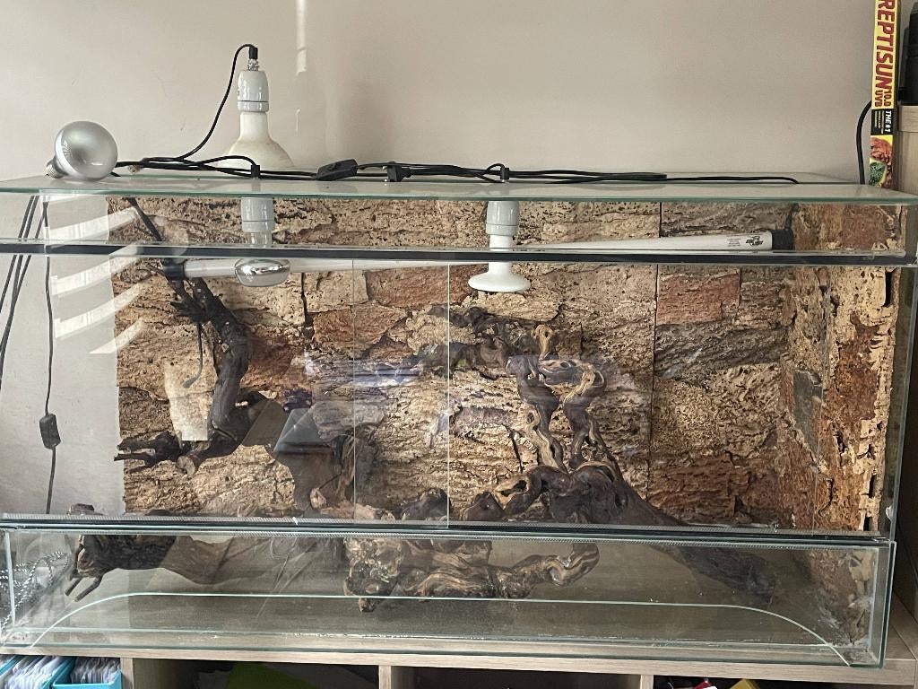 vivarium, Dieren en Toebehoren, Ophalen, Gebruikt, Terrarium of Paludarium
