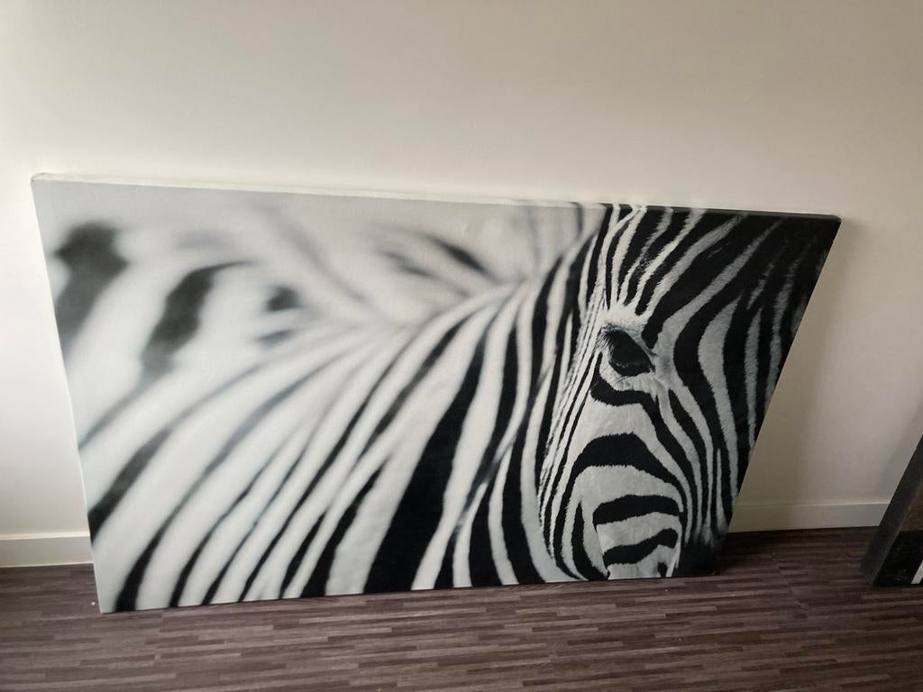 canvas pjatteryd zebra, Huis en Inrichting, Ophalen, Gebruikt, Print, 100 tot 125 cm