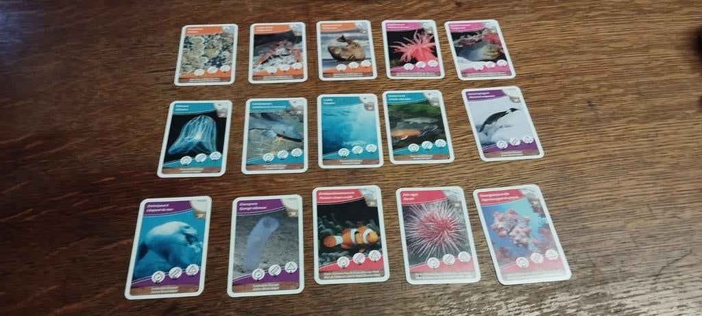 Cartes les trésors des océans, Ophalen of Verzenden, Zo goed als nieuw, Losse kaart