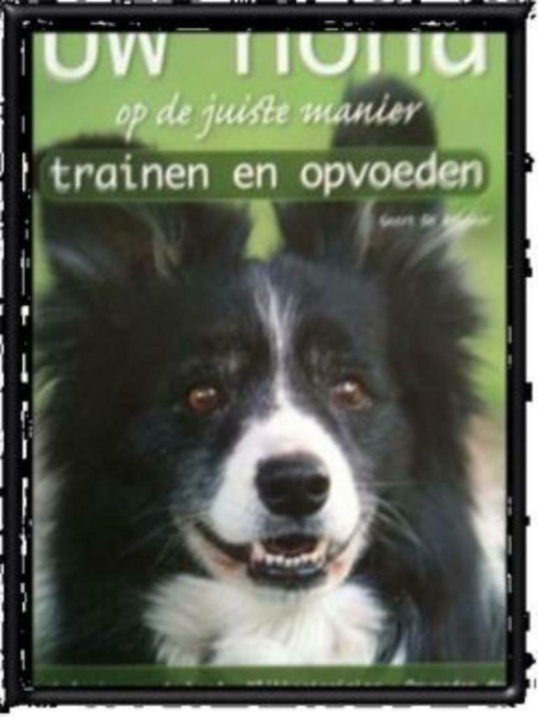Uw hond op de juiste manier trainen en opvoeden, Ophalen, Gelezen, Honden