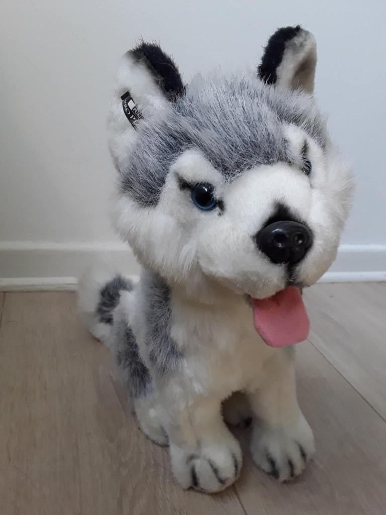 Husky hondenpluche 35 cm, Ophalen of Verzenden, Zo goed als nieuw, Hond