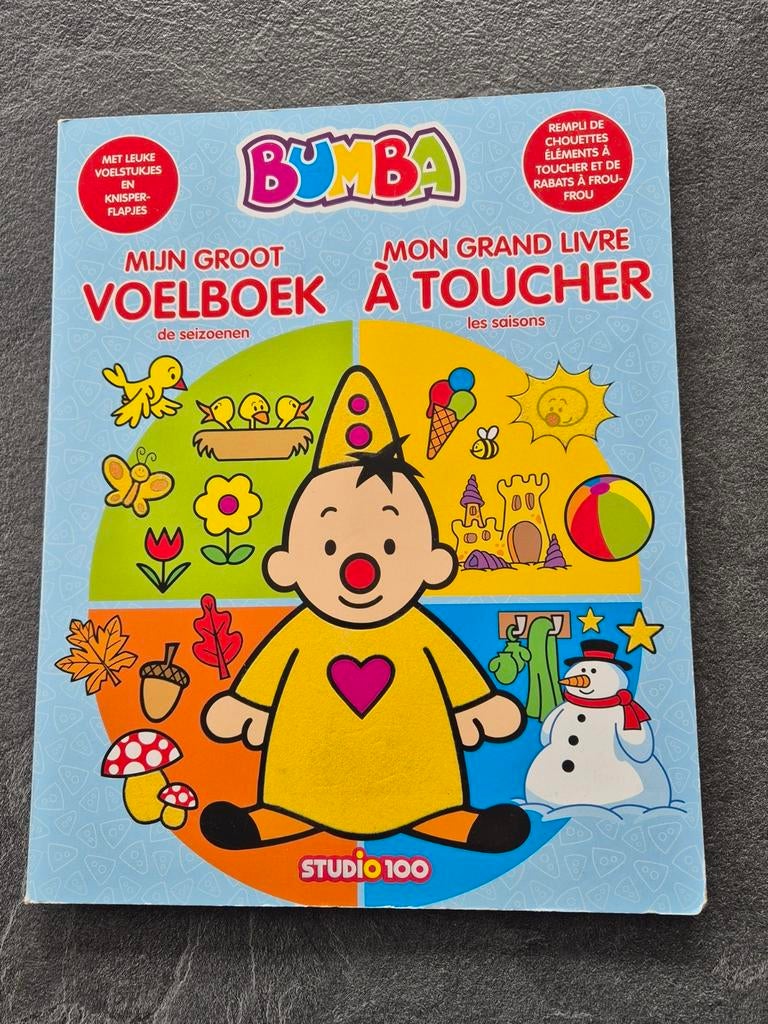 Grote voelboek van Bumba - Studio 100, Boeken, Ophalen, Zo goed als nieuw