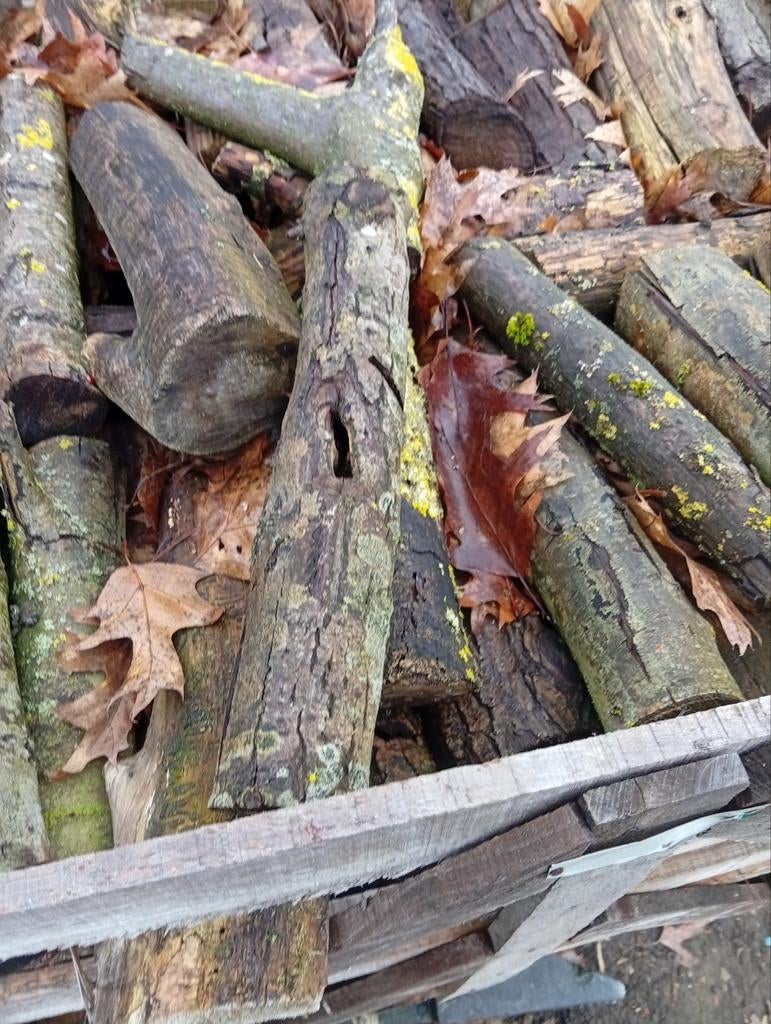 Half droog brand hout, Ophalen