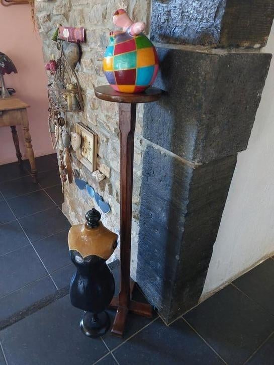 Pied de cierge, Enlèvement