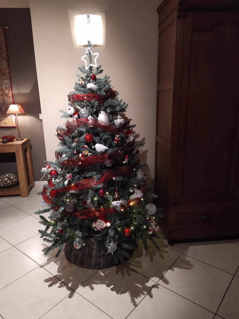 kerstboom Blauwspar, Ophalen