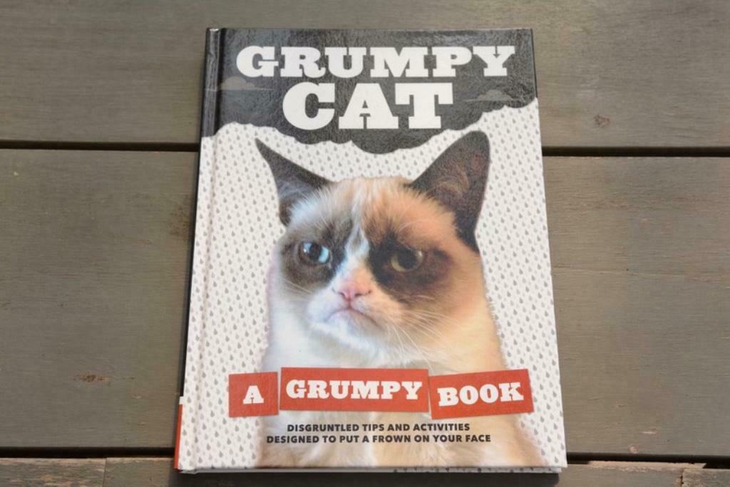Grumpy Cat - Een knorrig boek - Door Grumpy Cat, Verzenden, Gelezen, Grumpy Cat, Fictie