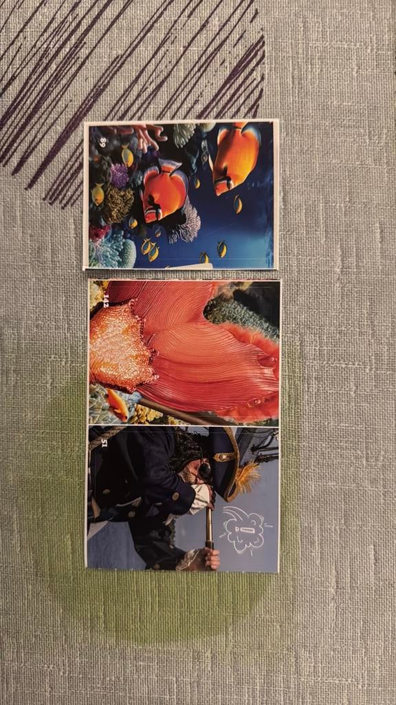 K3 show zeesterren, Ophalen, Zo goed als nieuw