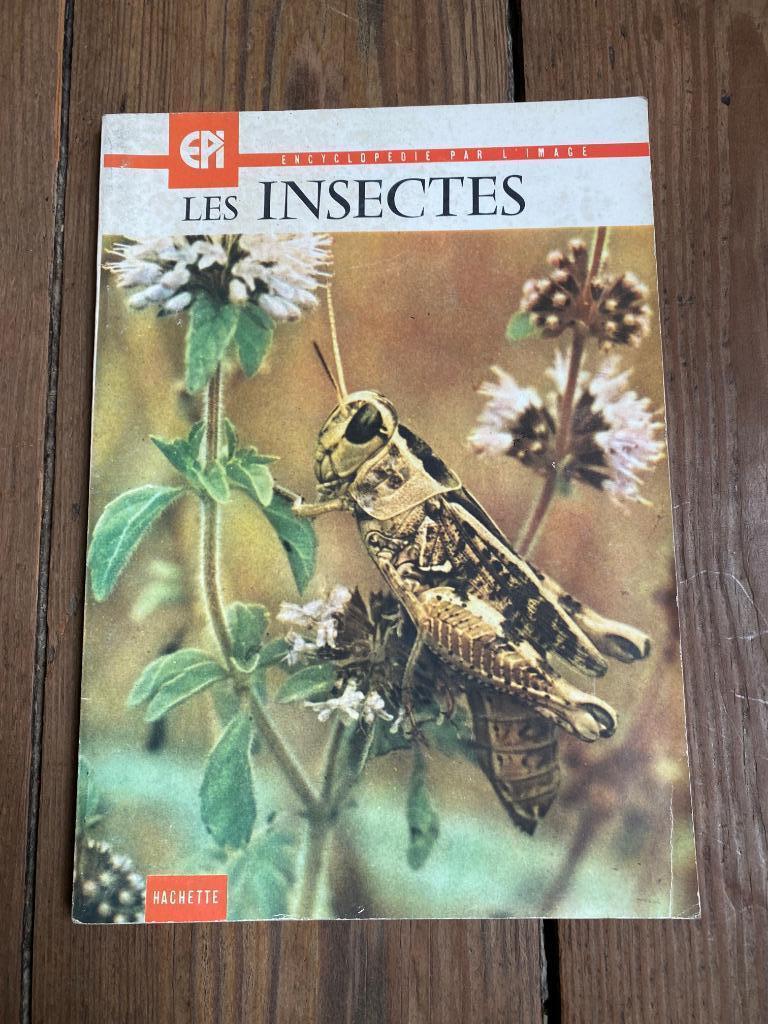 LES INSECTES  L'ENCYCLOPEDIE PAR L'IMAGE  1964 HACHETTE, Enlèvement ou Envoi, Utilisé, Autres espèces