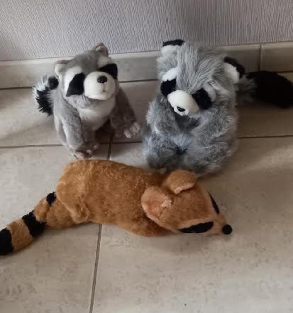 knuffel wasbeer 3 stuks, Ophalen of Verzenden, Zo goed als nieuw