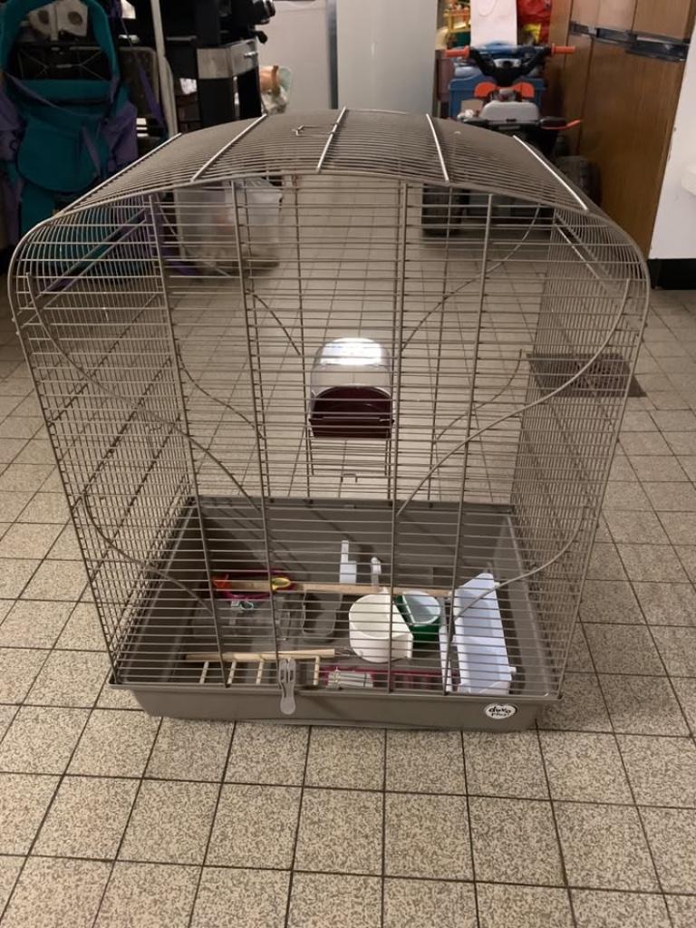 CAGE A OISEAUX (mandarins,...) ET ACCESSOIRES, Animaux & Accessoires, Oiseaux | Cages & Volières, Enlèvement, Utilisé, Métal, Cage à oiseaux