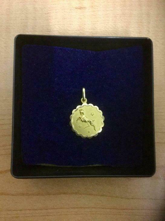 Prachtige 18-karaat gouden hanger ‘Steenbok’ voor in ketting, Handtassen en Accessoires, Bedels, Ophalen of Verzenden, Gebruikt
