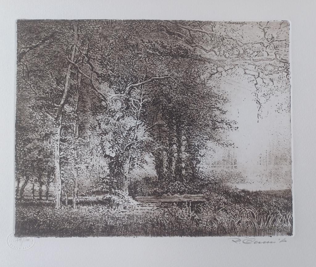 Raf Coorevits, Ophalen of Verzenden