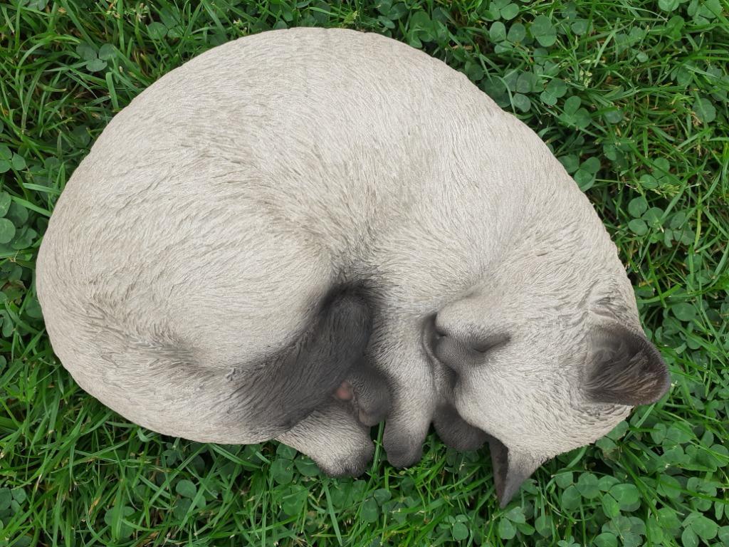 Slapende Siamese kat gemaakt van hoogwaardig polyresin, Ophalen of Verzenden, Nieuw, Dier