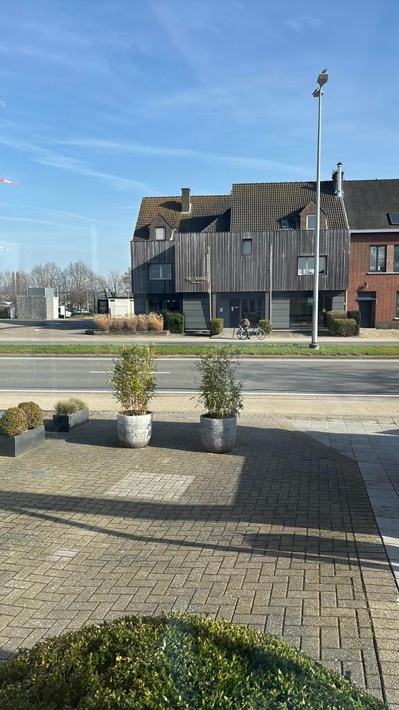 2 bamboe boompje in pot, Tuin en Terras, Ophalen, Zo goed als nieuw