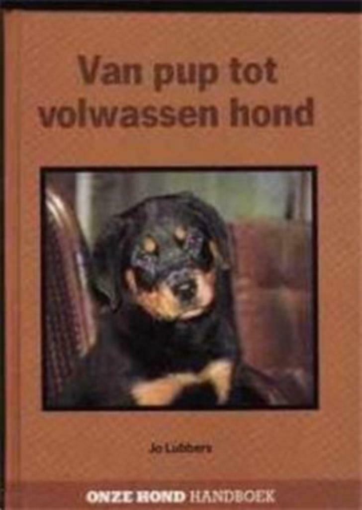 Van pup tot volwassen hond, Jo Lubbers, Ophalen of Verzenden, Gelezen, Honden