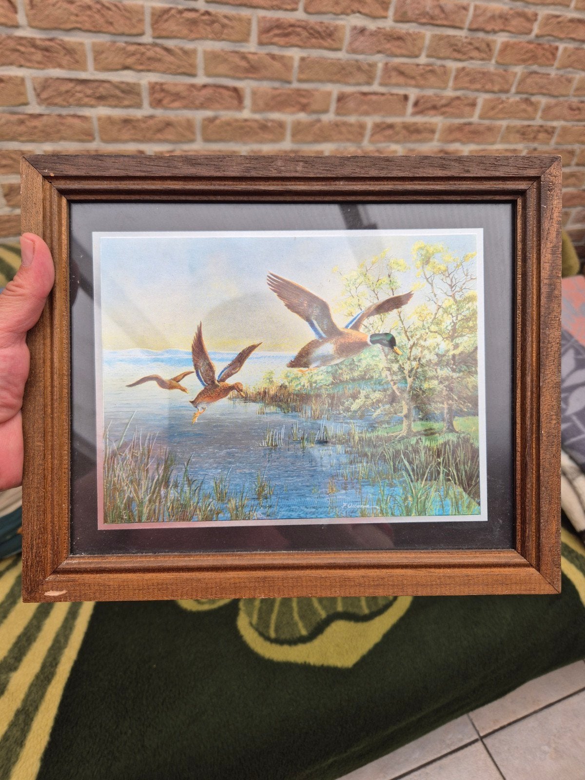 Vintage F. Osborne chromolithografie kader vliegende eenden, Ophalen of Verzenden, Vintage