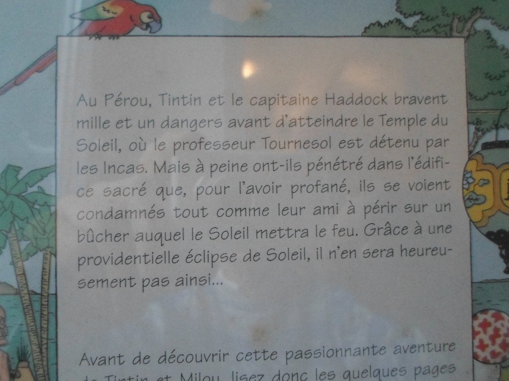Collection Tintin BD dans cadre, Livres, Enlèvement, Comme neuf