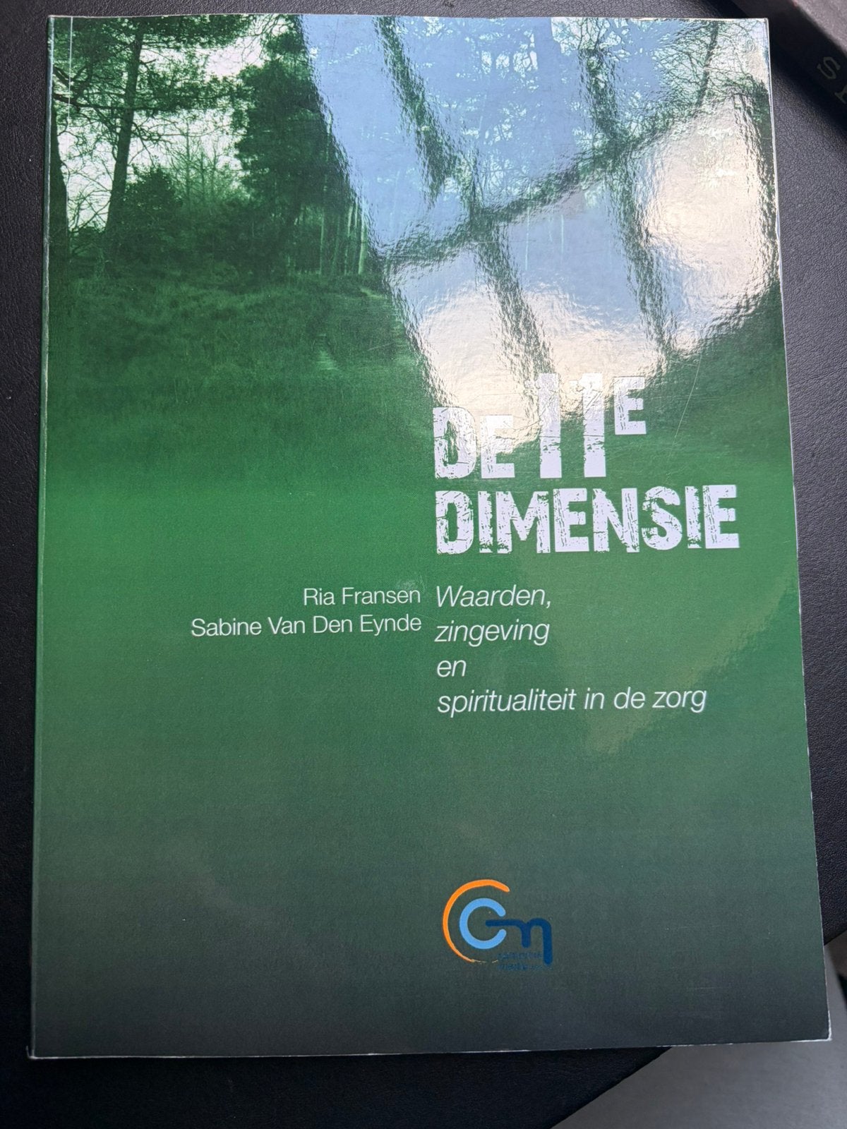 Ria Fransen - De 11de dimensie, Boeken, Ophalen of Verzenden, Ria Fransen; Sabine van den Eynde