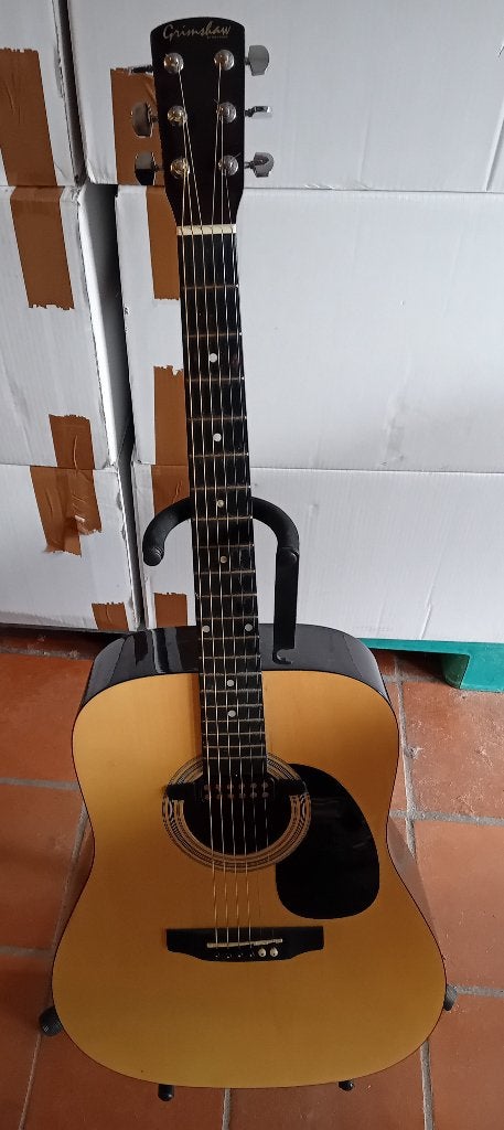 Western gitaar, Ophalen, Gebruikt, Western- of Steelstringgitaar