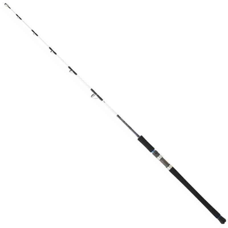 Daiwa Saltist Offshore vertical jigging rod, Watersport en Boten, Hengelsport | Zeevissen, Ophalen, Zo goed als nieuw, Werphengel