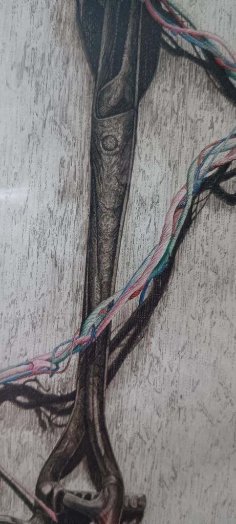 Zeer gedetailleerde pentekening oude schaar, Antiek en Kunst, Ophalen of Verzenden