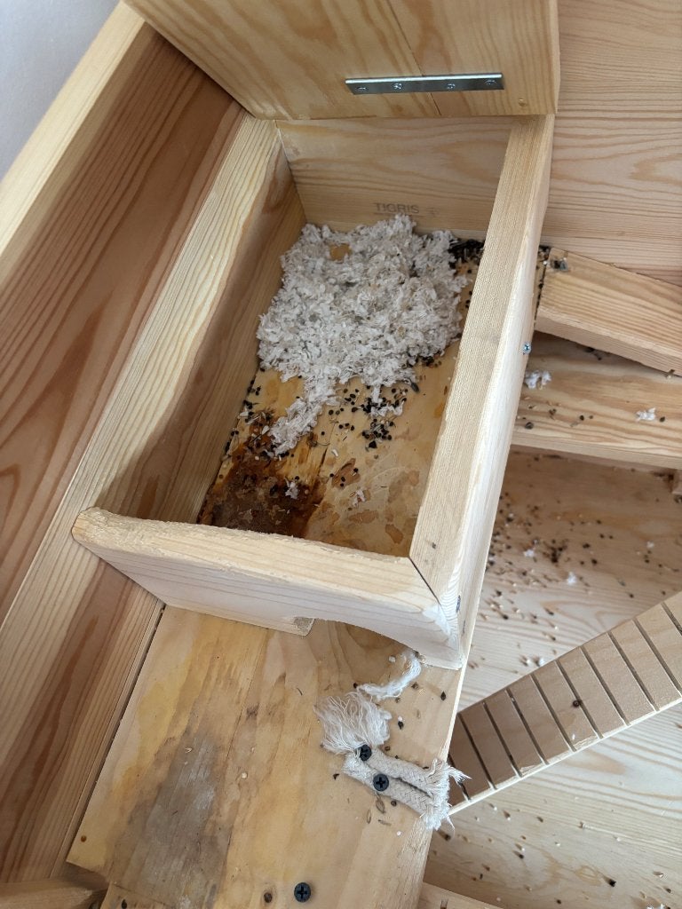 Cage, Enlèvement, Utilisé, Bois, Autres types