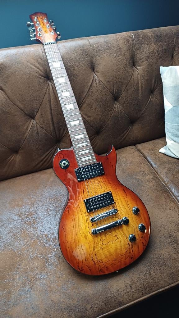 7-snarige gitaar (Acepro), Muziek en Instrumenten, Ophalen of Verzenden, Gebruikt, Solid body, Overige merken