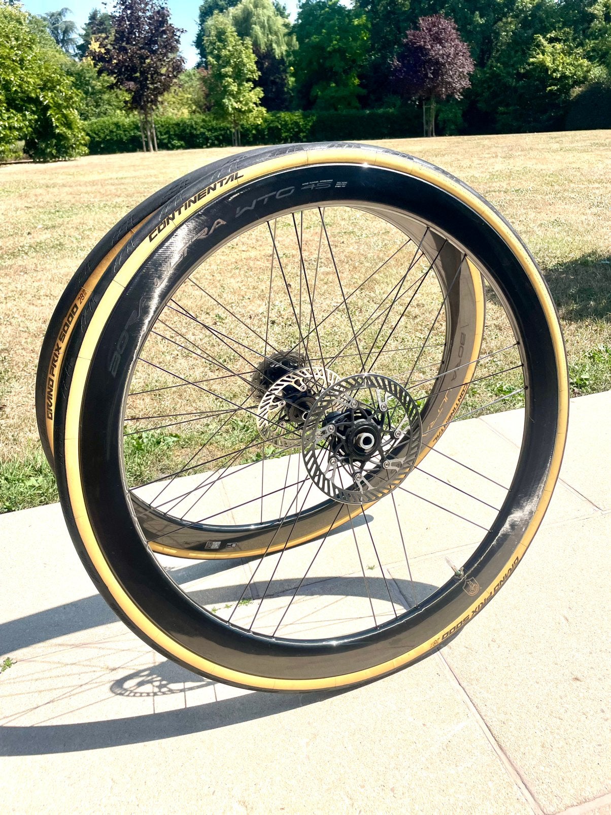 Campagnolo Bora Ultra Wto 45 Tubless Ready, Comme neuf, Enlèvement, Carbone, Racefiets