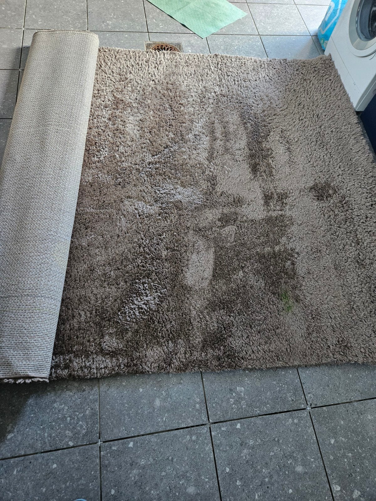 Tapis 200290, 200 cm ou plus, 200 cm ou plus, Carré, Brun