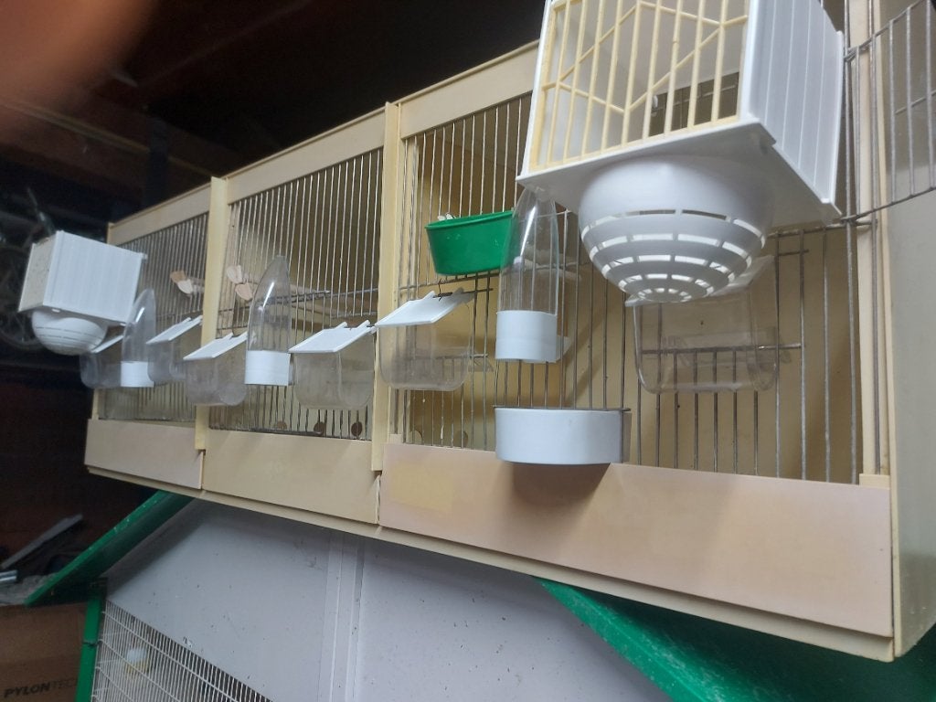 Pvc kweekkooi 117br, Dieren en Toebehoren, Ophalen, Gebruikt, Kunststof, Broedkooi of Kweekkooi