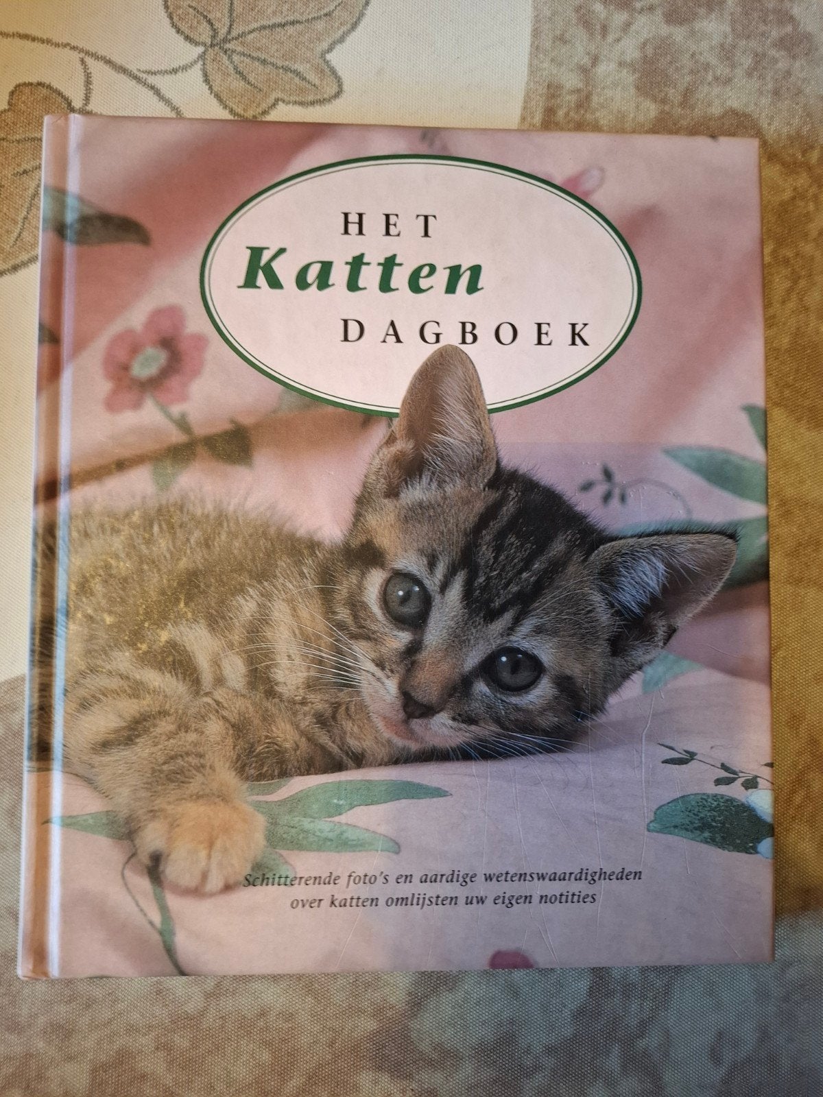 Jane Moore - Het Kattendagboek, Livres, Animaux & Animaux domestiques, Enlèvement, Chats, Jane Moore