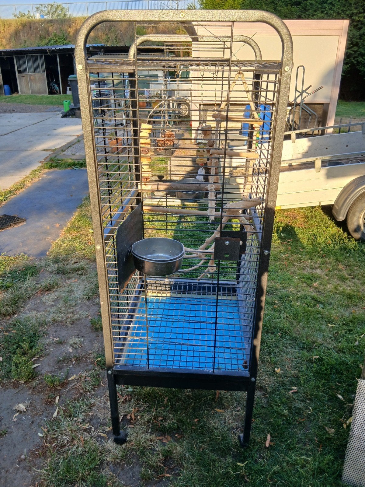 Vogelkooi, Enlèvement, Cage à oiseaux