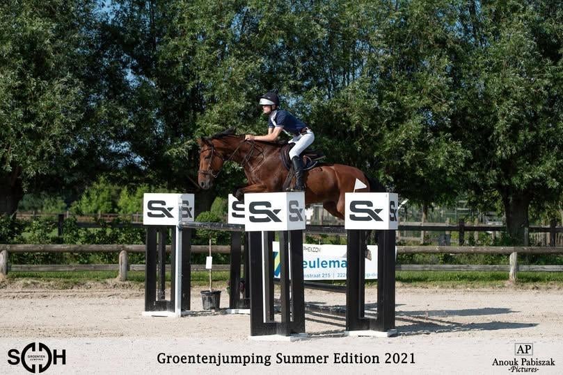 Super fijne Merrie voor fokkerij of rijden, Merrie, ZZ, Springpaard, Met stamboom
