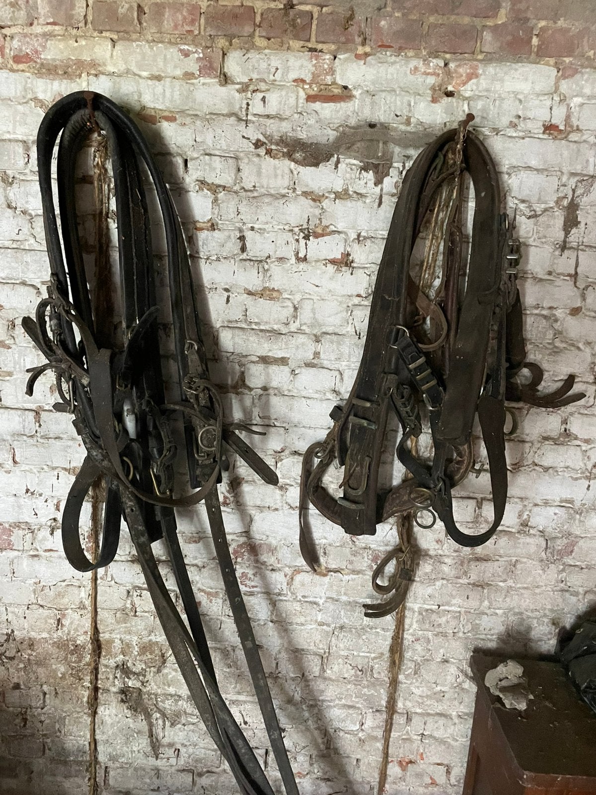 Paardengetuig, Animaux & Accessoires, Chevaux & Poneys | Brides & Harnachement, Enlèvement, Comme neuf