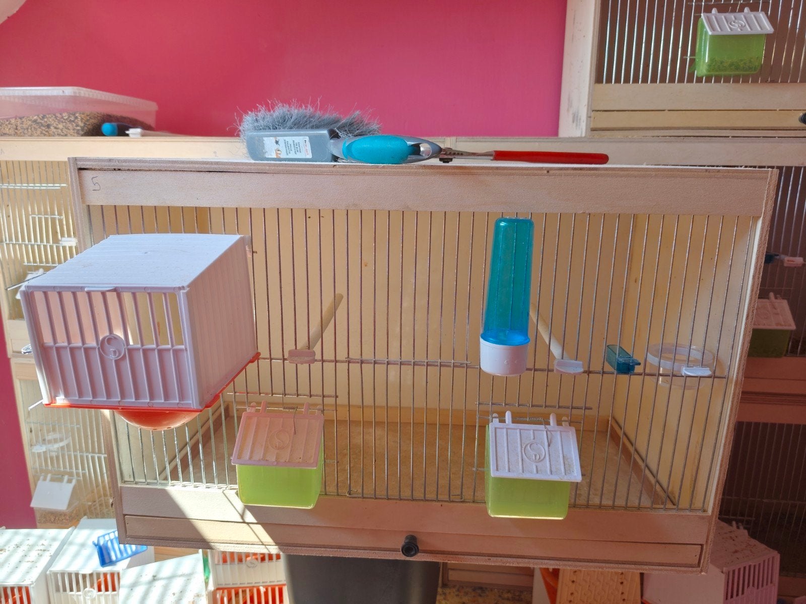 cages d'élevage avec accessoires, Animaux & Accessoires, Enlèvement
