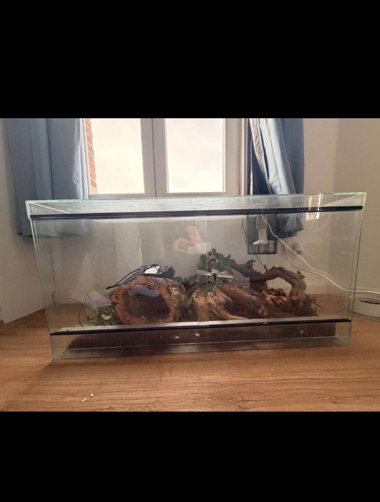 Terrarium 100 x 50 x 50, Animaux & Accessoires, Enlèvement, Utilisé, Terrarium ou Paludarium